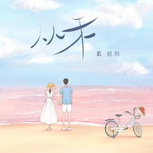 国产精品911麻豆
